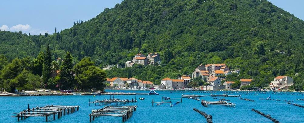 Vila Ruza Ston Dış mekan fotoğraf